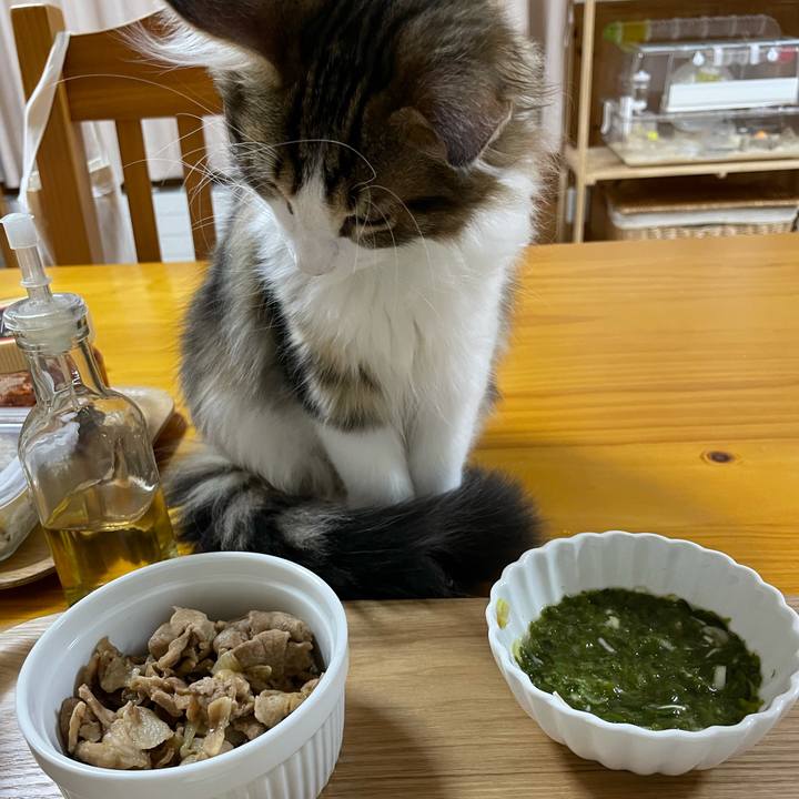 D85a9e17 d176 470e 81ba 167f5ecc1f7e 1634723919442