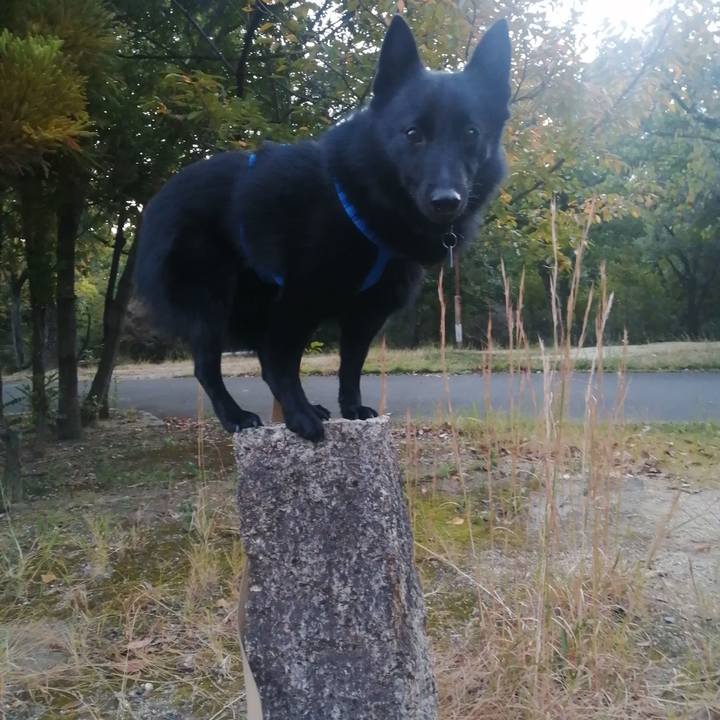 D85aaae8 97e3 437b be8f 6810d0680476 1634852370814