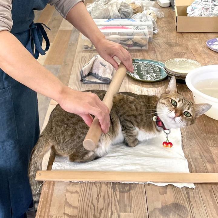 D85b0f03 8f04 46ee b9a4 04c6a9dfef8b 1630755901912