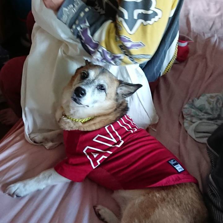 D85b2b31 81b8 496d b000 904b04f211ab 1596808078777