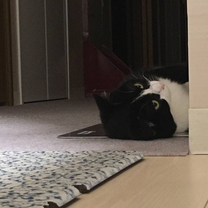 D85b2f78 8385 4e1b ba5e cf3fae0a5fbe 1623249179070