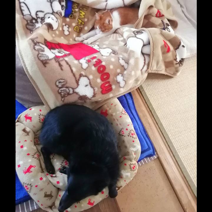 D85b37f2 97f1 4472 a38c 51e9b397bdba 1635574224638