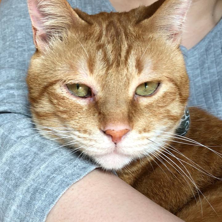 D85b396f b8b9 4c63 b5c5 f994f716a82f 1556955890128