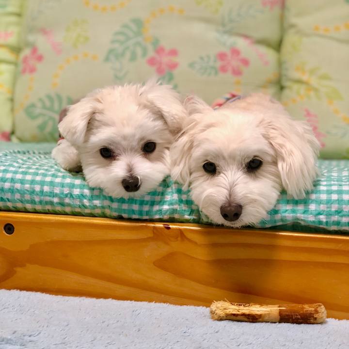 D85b56d9 e4e3 433d adb8 17a751a6cd0f 1524636692786