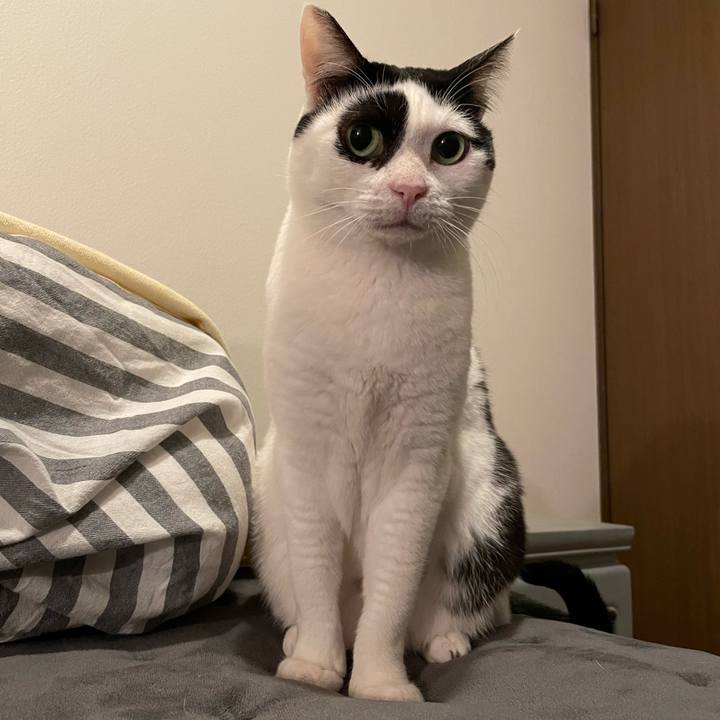 D85b77c0 c7f9 44c0 a06c d9f54af2f1ee 1641179151697