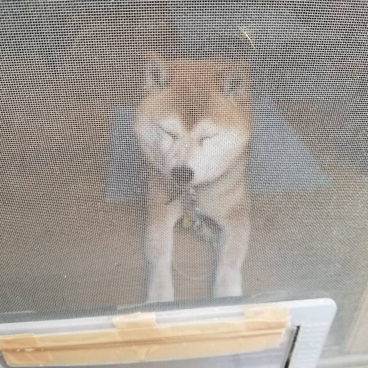 D85b82ff 2cd2 48e4 a208 a0b2ef743f87 1589780333965