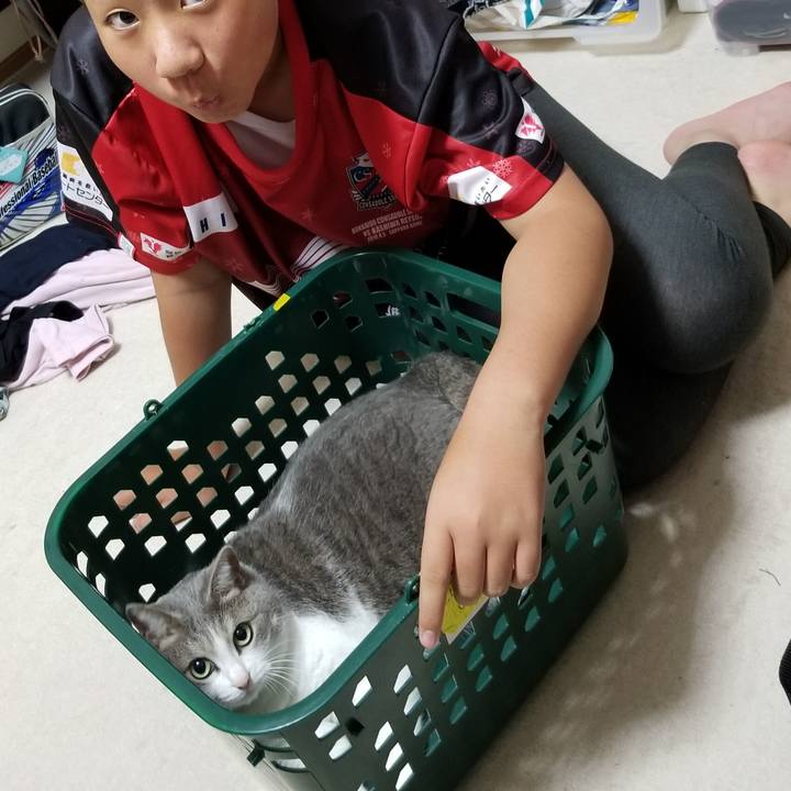 D85b8a86 0885 4908 b19e 14492356703b 1597923300862