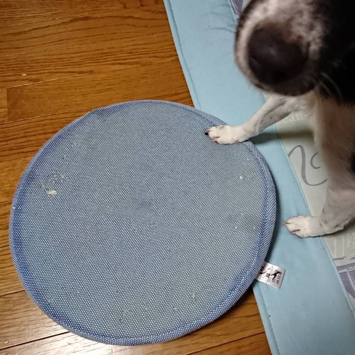 D85b91f7 7860 46c2 96bc 70c9b0ef872a 1512304636468