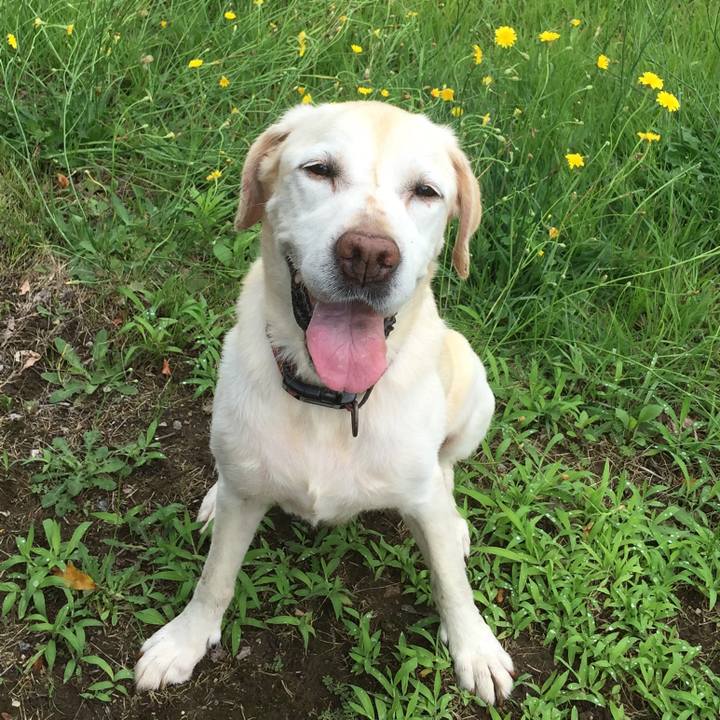 D85ba390 2d65 455e b461 305c49c4cf4f 1588306632834