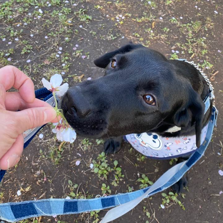 D85be798 9f22 461e 883b d754a79631f2 1775117462752