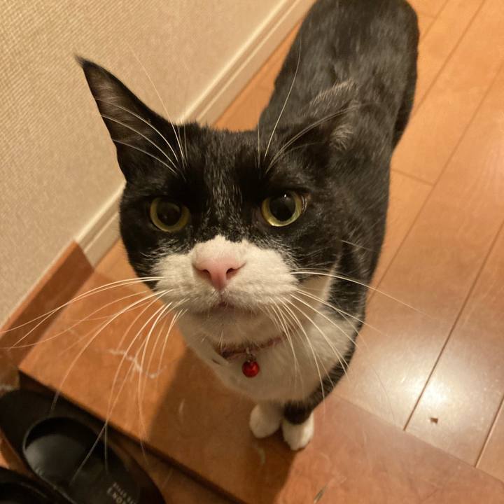 D85c177b 7a49 4bf2 9a1b 9dcd630b16f4 1682250341610