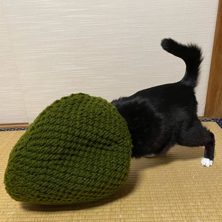 D85c17ee 78ed 481a 9843 823c9a41f4aa 1686310484549