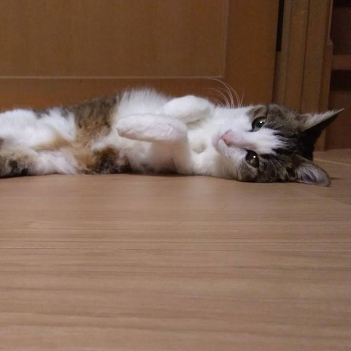 D85c54e0 9ac5 46ae 865a f00f24cad561 1524233315866