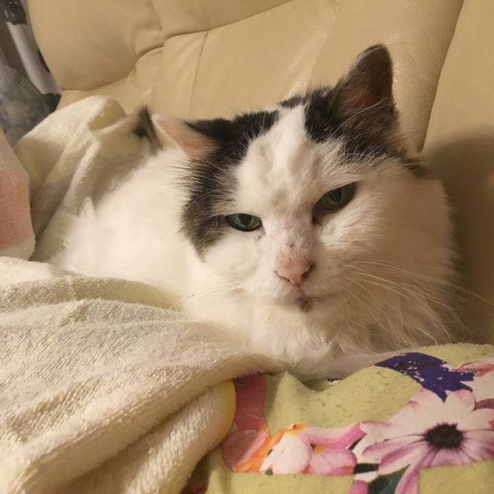 D85c5bab d1fd 41be bae4 1bf54c391476 1573557057328