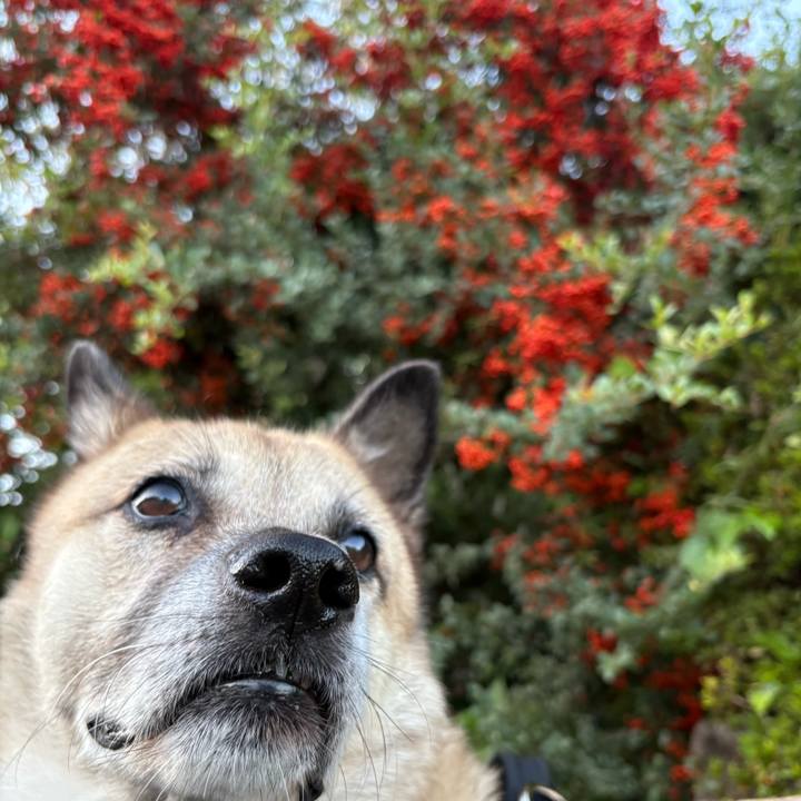 D85c7040 9402 497b 8736 deea5e99f2c9 1761307416218