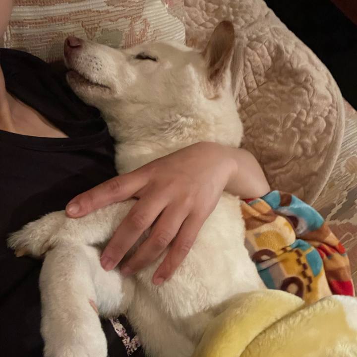 D85c7564 914e 4460 9f5a b26faa7a14a2 1647615008814