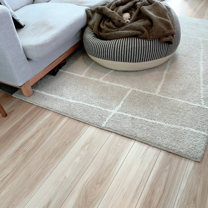 D85c885b 298e 4a52 a07e 2cb591f84112 1701126391585