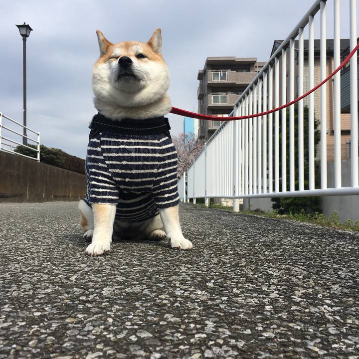 D85c8ae6 d5f9 4b3f a843 2a6621d1843e 1584944366699