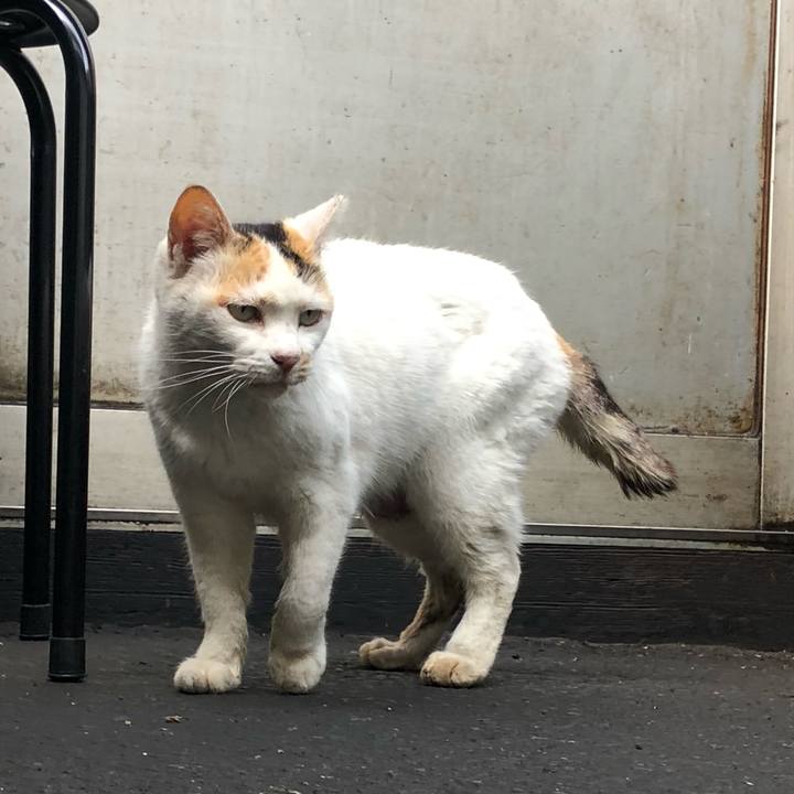 D85ca449 4c8a 4e77 9f5e 0a67d2876ea5 1617083518580