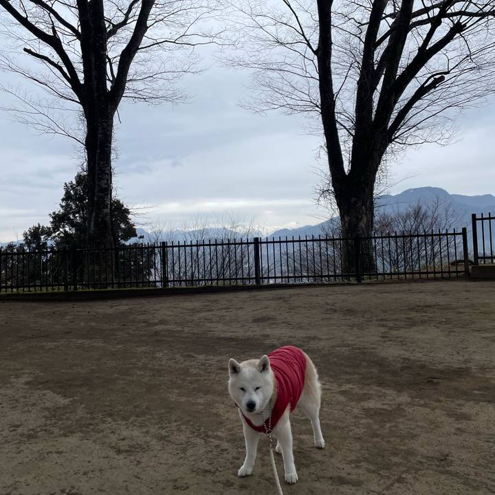 D85cbefa 1096 4137 9de2 f3f836ce0ef8 1703985017128