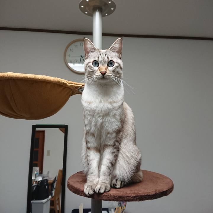 D85cdf8f 1df3 49be 8ed5 886a7df46535 1544261281582