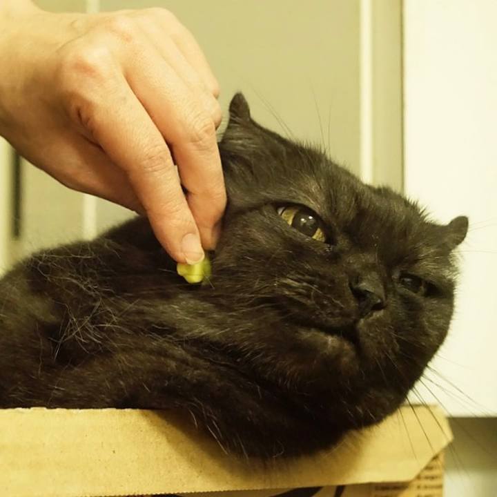 D85ce14f a1fe 4ced b9f9 69a3ef46c1dc 1568991458893