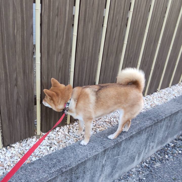 D85d1229 3af5 4348 898c 0ced50fa25a0 1654291117526