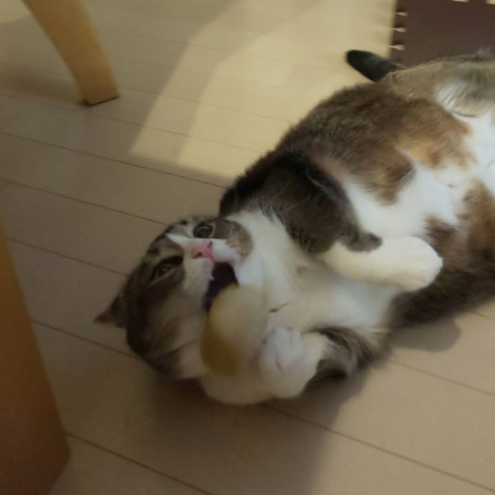 D85d99be 7e6e 415a b868 05f70cd5f1c1 1574030105389