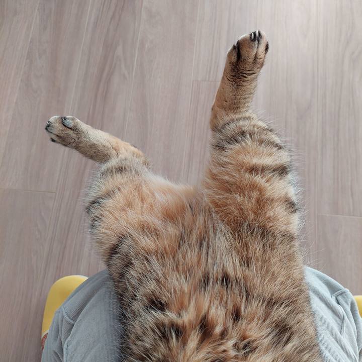 D85d9b4d 0789 42f0 8e3b 2f1a503dbeba 1672875620672