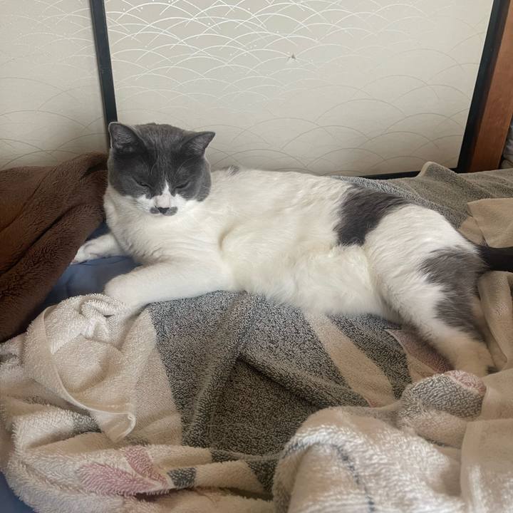 D85daf98 b4ef 49c7 8666 f3b5f52e3ffe 1689031119503