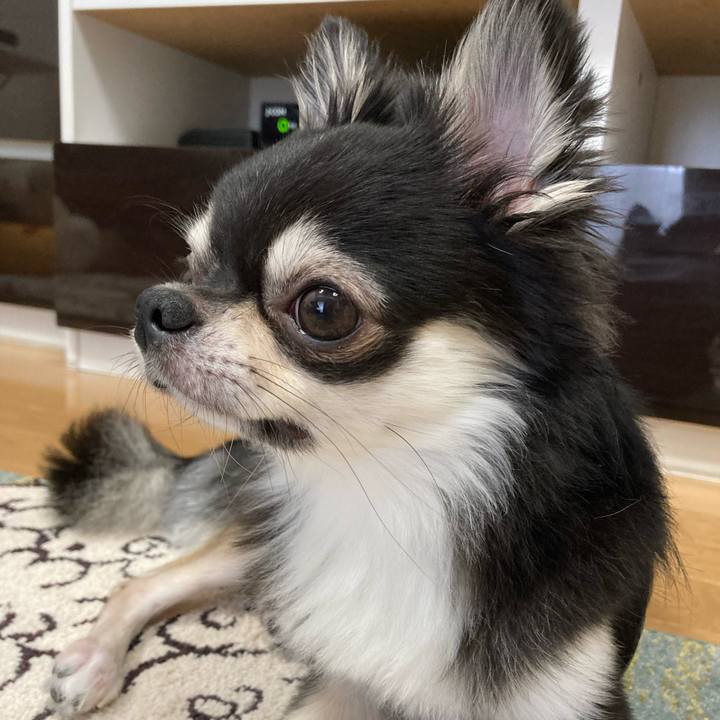 D85dce96 0027 4a29 bb32 b1f9182d671d 1628311145985