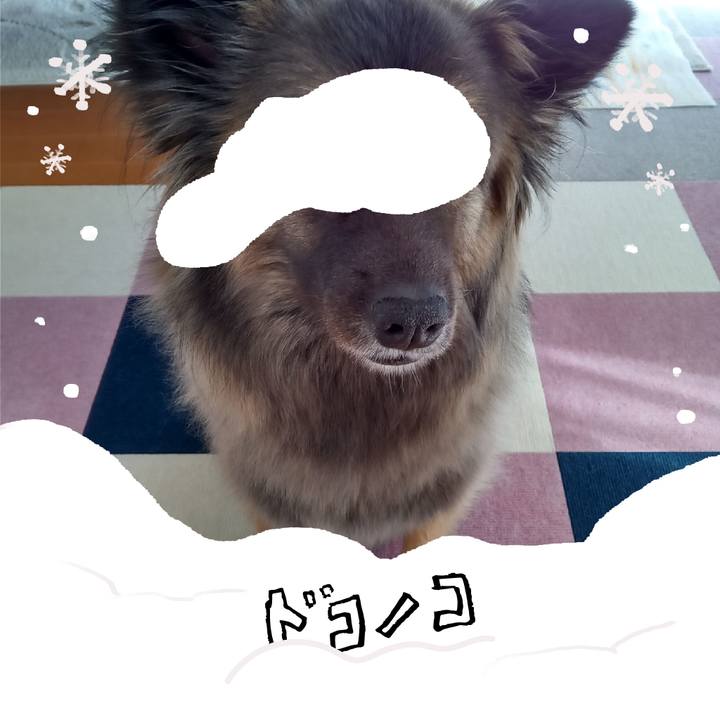 D85e4367 6027 4f10 8803 1a953910f6b2 1771829490513