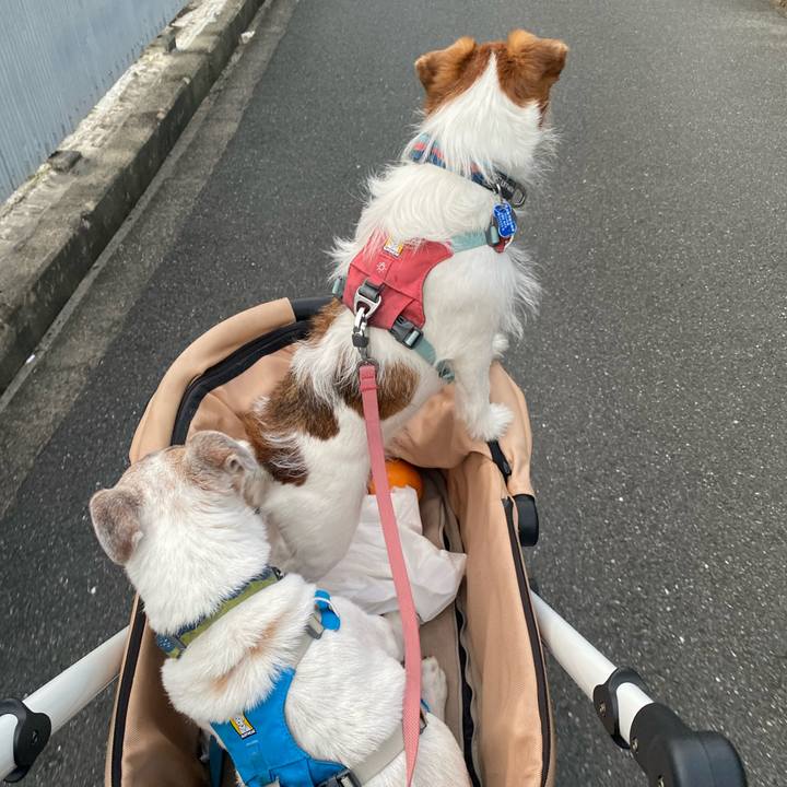 D85e65e2 5ccd 42d6 aa12 23195c0d41f7 1721300246929