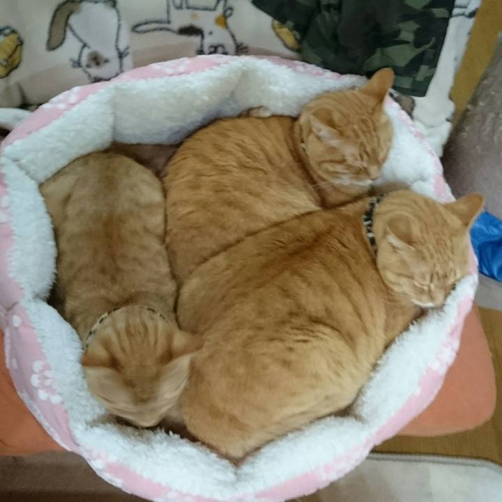 D85e7e8f f90a 4150 917c dd66a2fa5233 1552225410258