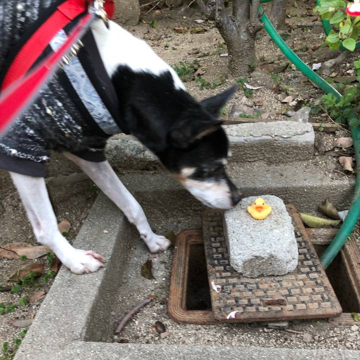 D85e819a f4dc 455b 96c3 00232471cdfb 1543056071918