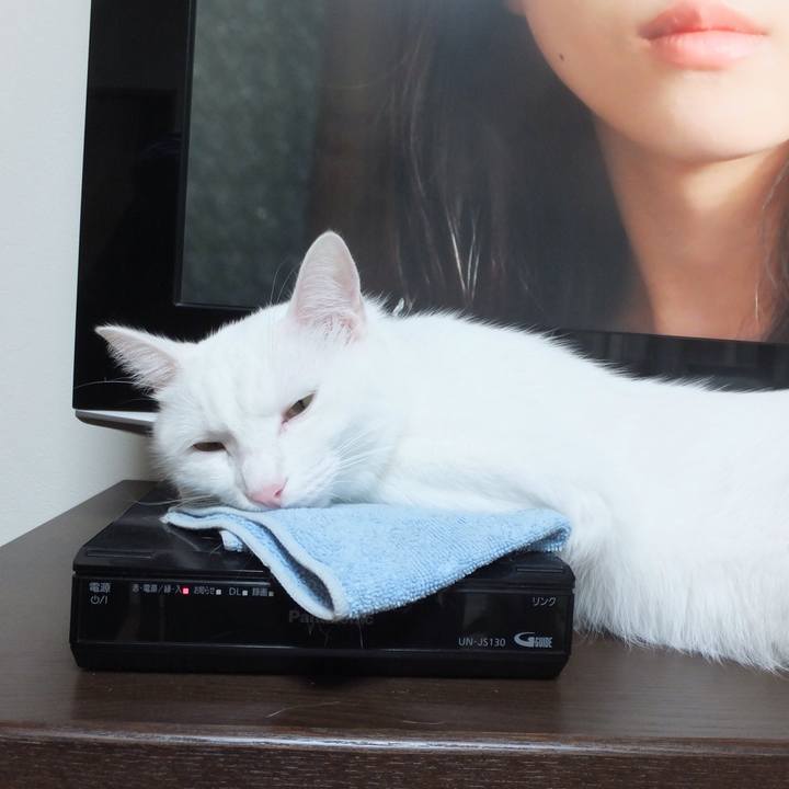 D85e884c 0bac 4b18 9bd7 0fd5d457a531 1631176528272