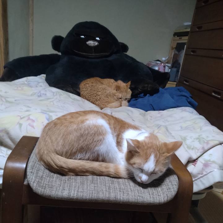 D85ebba4 2eb7 44ae b523 e18fa3ebed4c 1735127369074