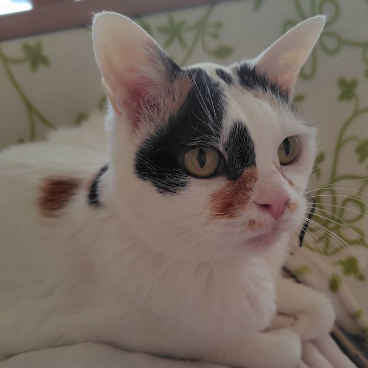 D85ed5f2 ad8a 494f a42e 1d76d328d980 1770121311101