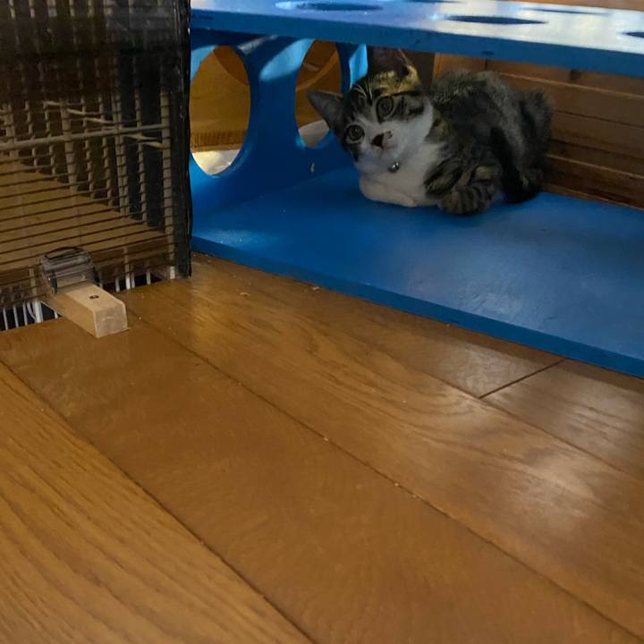 D85f134e fce4 45f2 aaa7 f1dd53e284e9 1692164882323