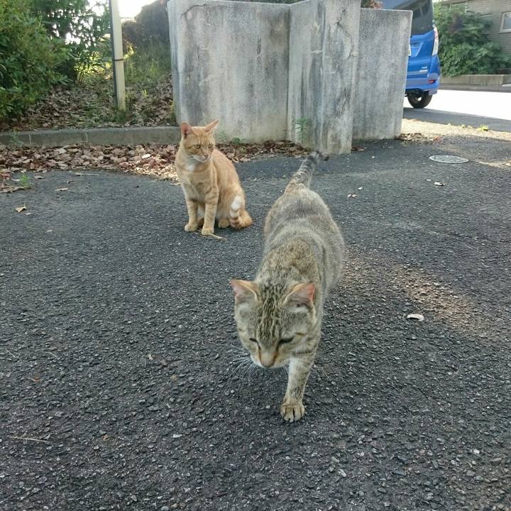 D85f2478 a991 46e8 b15c 36a925e094d9 1536589099259