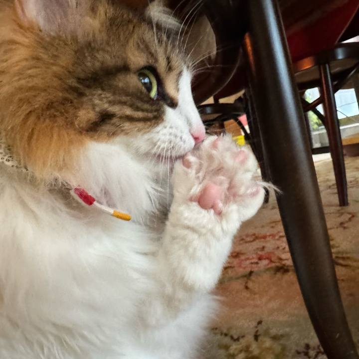 D85f31ee 83d9 44e5 88bf 5cbc248682a4 1773274426926