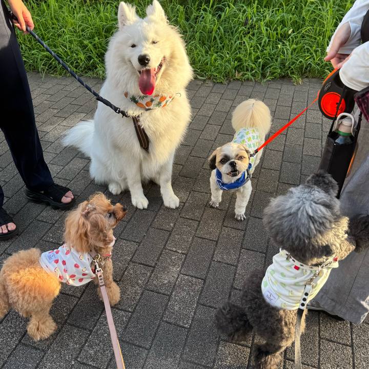 D85f7bdf fc30 46f8 9ab7 dc077a954121 1752794250912