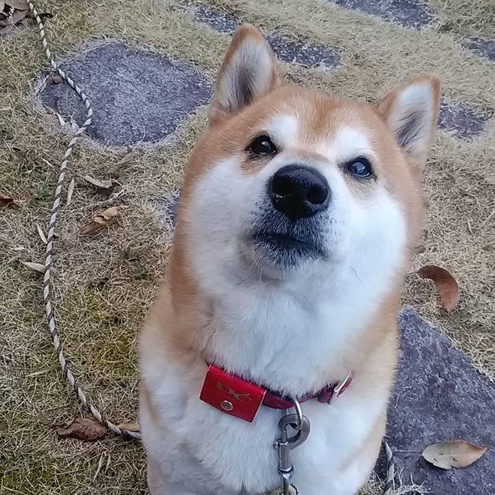 D85f88e0 3b0e 4d68 8360 607d84da8d8e 1678059422431