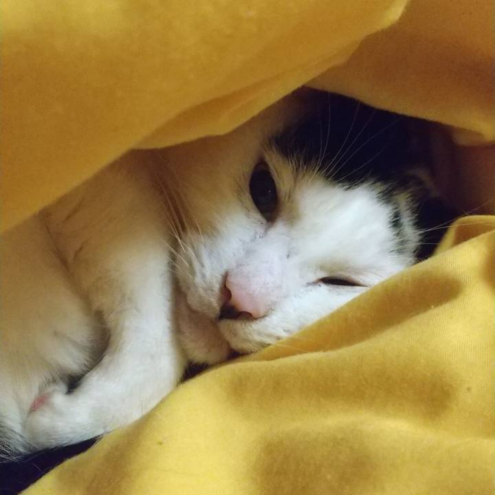 D85f9ce6 b180 4e90 bb4a 78820a0681f3 1637575007495