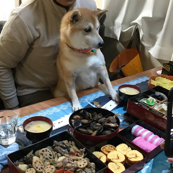 D85fafda 586a 4374 8168 3d4798e515ab 1515114508949