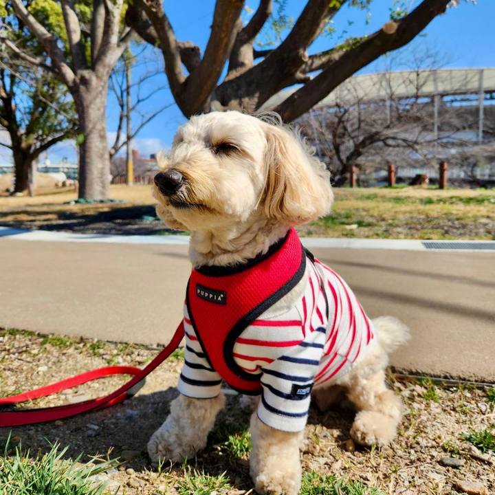 D85fe13b 7094 4d5b ba70 5dd929b363ae 1772359332041