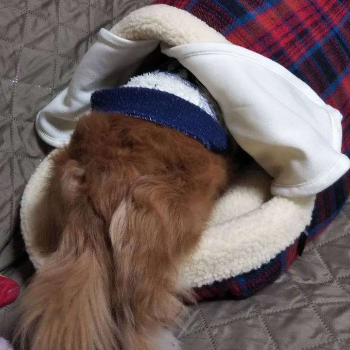 D85fe9ff db2b 4976 b57f d509f6f3033b 1639816132333