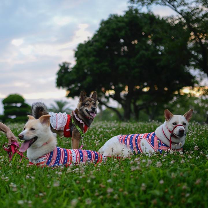 D8600e9a ddbf 4da9 8e97 f19e95f37426 1531409752998