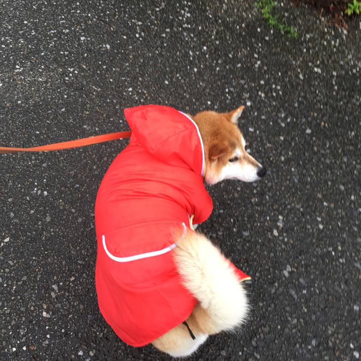 D86014ab d56e 4804 8aa3 da1edd979103 1568607231604