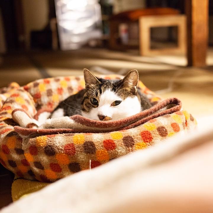 D8601e80 aeb8 477f b29a ccfd97f3b780 1571417608794